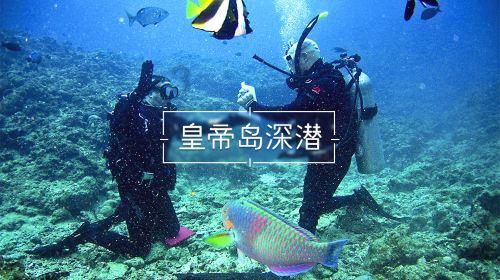 柴人决击